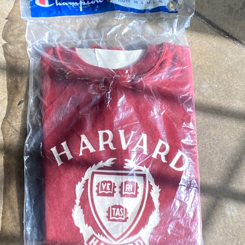 80’s vintage Champion  Sweatshirt
